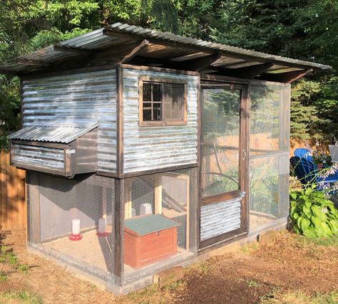 Quail Coop Plans, Chicken Coop Metal, Quail Coop, Chicken Coop Pallets, Backyard Coop, Walk In Chicken Coop, Chicken Shed, Diy Chicken Coop Plans, Coop Design