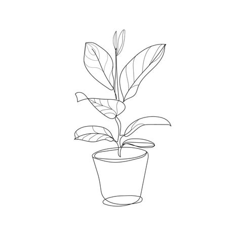 Indoor Plant Drawing, Plant Pot Tattoo Simple, Ficus Drawing, Indoor Plant Illustration, Plant In A Pot Drawing, Ficus Tattoos, Plant In Pot Illustration, Indoor Plants Drawing, Indoor Plant Tattoo