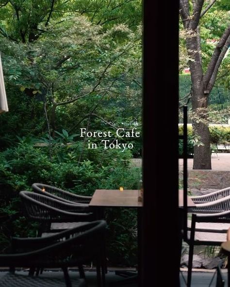 Cafe Scene, Cafe Japan, Forest Cafe, Wedding Couple Photos, Food Tips, Latte Art, Cafe Design, Japanese Garden, Tag Someone