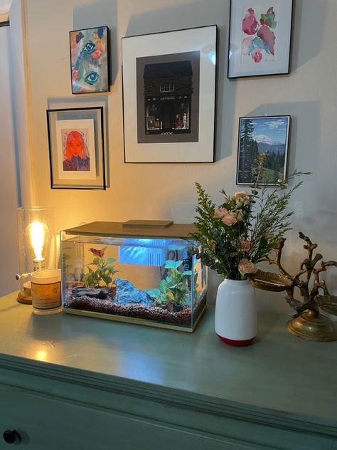 Bedroom Ideas With Fish Tanks, Room Ideas With Fish Tanks, Fish In Room Aesthetic, Aesthetic Room With Fish Tank, Aesthetic Fish Tank Decor, Fish Setup Ideas, Fish Tank On Dresser, Fish Tank Inspo Aesthetic, Pretty Betta Fish Tank Ideas