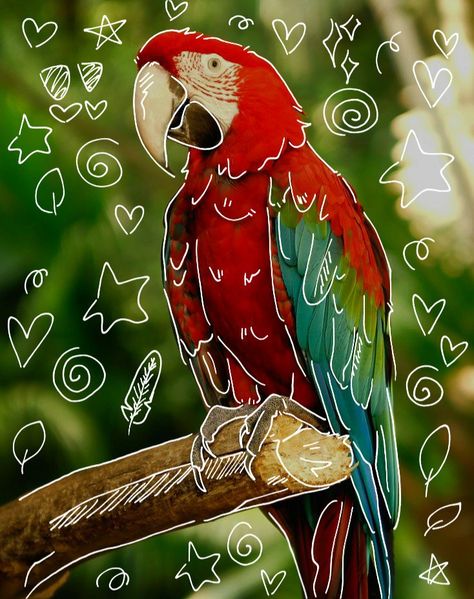 Scarlet Macaw, Fennec Fox, Animal Doodles, Book Art Drawings, Exotic Pets, Please Do, Made By Me, Scarlet, Parrot