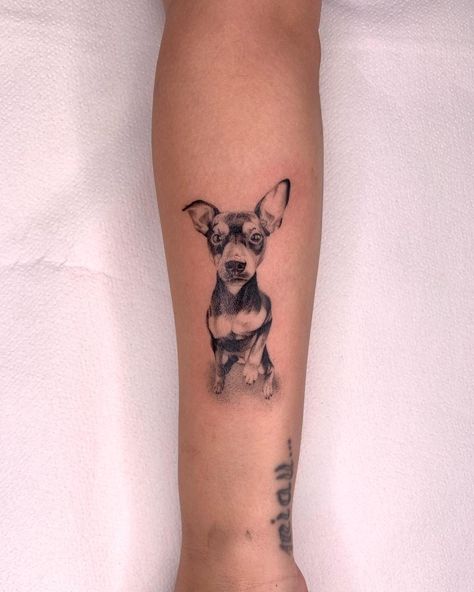 Min Pin Tattoo, Fang Tattoo, Pet Portrait Tattoo, Feather Tattoo Meaning, Small Dog Tattoos, Cool Animal Tattoos, Minimal Tattoo Designs, Minimal Tattoo Ideas, Dachshund Tattoo