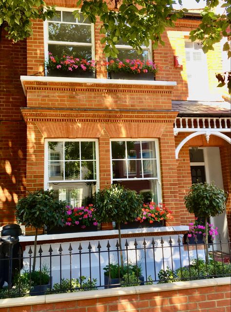 Edwardian terraced house with bay trees accompanied with lavender and white gerainiums in galvanised planters. Pretty window boxes with mixed pink and red ivy leaf gerainiums in matching grey window galvanised boxes inspired by Austria. Wrought iron railings, gate, red brick wall and sand coloured copping stones. #london #frontgardens #edwardian homes #flowers #planters #flowers #wall #exteriors #smallgardens #gardens #gardenideas Victorian Terrace Extension, Edwardian Terrace House, Garden Ideas Flower, Planters Flowers, Edwardian Homes, Victorian Home Ideas, Patio Garden Ideas, Brick Wall Gardens, Front Garden Ideas