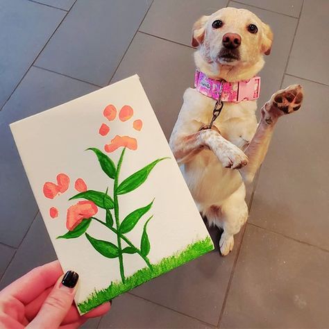 ¿No sabes qué pintar? Prueba con estas 60+ ideas de pinturas fáciles Dog Paw Print Craft, Dog Paw Print Art, Paw Print Crafts, Dog Memory, Paw Print Art, Paw Painting, Paw Art, 웃긴 사진, Dog Paw Print