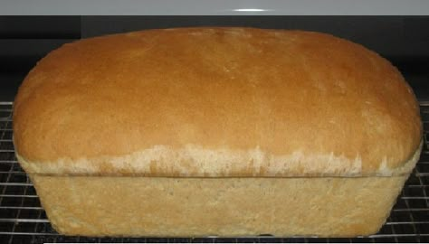 Blender Bread Recipes, Blender Bread, Bread Varieties, Easy Ratatouille Recipes, Bosch Mixer, Blender Recipe, Homemade Rolls, Yeast Breads, Recipe Cookbook