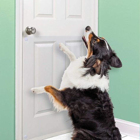 Dog Scratching Door, Portable Dog Kennels, Future Apartment Ideas, Pet Memorial Ideas, Pet Remedies, Vinyl Door, Dog Doors, Mister Rogers, Door Protector