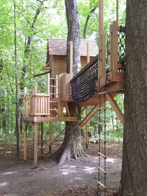 Tree Forts, Play Structures For Kids, Playground Landscaping, Tree House Ideas, Treehouse Ideas, Building A Treehouse, Tree House Plans, Tree Fort, Tree House Diy