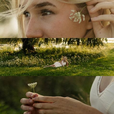 an evening in august among the flowers 🕊️— @addisonswegles Film Nature, Documentary Style Photography, Photoshoot Aesthetic, Aesthetic Flowers, Senior Photoshoot, Aesthetic Desktop Wallpaper, Style Photography, Reference Images, Senior Photos