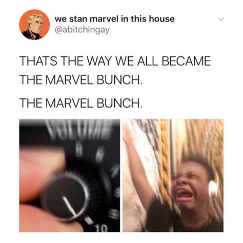 The Marvel Bunch, Avengers Song, Weird Ideas, Marvel Bunch, Funny Marvel, Hello Brother, In This House, School Memes, Marvel Jokes