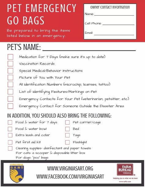 Pet Emergency Go Bags Dog Emergency Go Bag, Surviving Apocalypse, Pet Emergency Card, Pet Printables, Winter Emergency Car Kit, Emergency Preparedness Binder, Pet Emergency Kit, Emergency Checklist, Emergency Go Bag