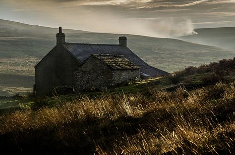 Pennines England, Rural Gothic, English Moors, North Pennines, David Allen, Rose Tree, Irish Cottage, Chestnut Trees, Nice Photos