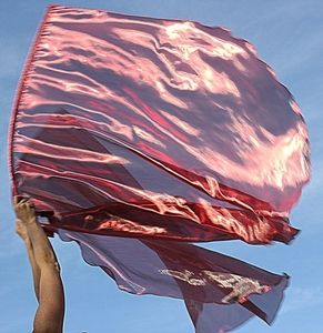 Semi Sheer Metallic Red Burning Fire Prophetic Dance Worship Flags Set of 2 with Flex™ Rods Worship Dance Outfits, Prophetic Dance, Dance Worship, Praise Dance Garments, Beauty For Ashes, Worship Flags, Isaiah 61, Dancer Photography, Best Flags