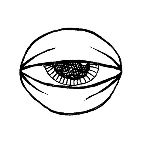 eye. Passion Gif, Glassy Eyes, Illustration Tumblr, Animation Stop Motion, Eye Illustration, Most Beautiful Images, Types Of Lettering, Stop Motion, Graffiti Art