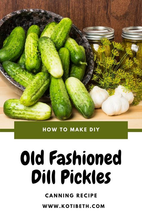 Best Dill Pickle Recipe, Crispy Dill Pickle Recipe, Crunchy Dill Pickle Recipe, Crispy Dill Pickles, Pickles Homemade Easy, Dill Pickle Recipes, Making Dill Pickles, Pickles Homemade, Canning Garden