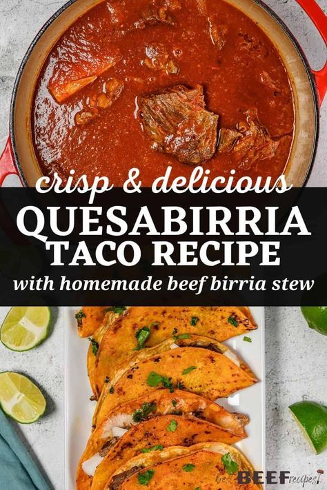 My Beef Birria Tacos recipe has all the flavors you're looking for in birria: they're earthy and mildly spicy, with fall-apart tender chuck roast beef and Mexican cheese! via @bestbeefrecipes Quesabirria Tacos With Consome, Birria Queso Tacos Recipe, Tacos Barilla, Stove Top Birria Tacos, Easy Barilla Tacos, Beef Barilla Tacos, Barilla Tacos Recipe, Birria Tacos Pressure Cooker, Quesabarilla Tacos