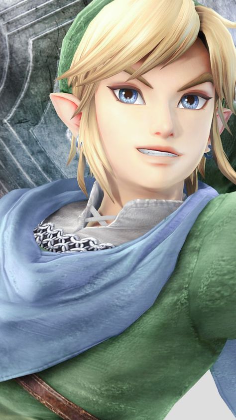 Link Hyrule Warriors, Hyrule Warriors Link, Zelda Hyrule Warriors, Legend Of Zelda Characters, Ben Drowned, Hyrule Warriors, Link Zelda, Zelda Art, Legend Of Zelda Breath