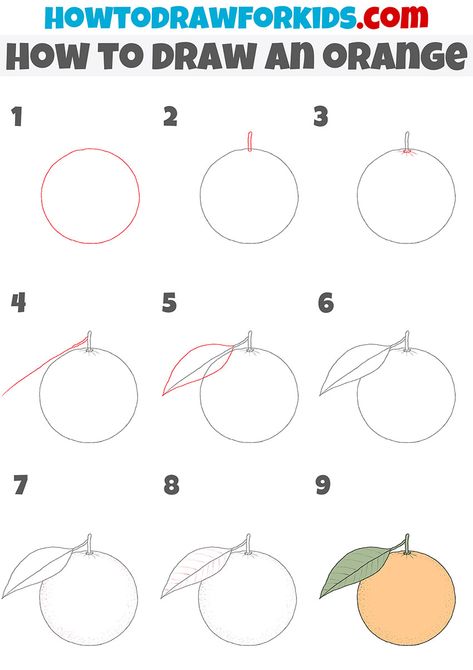 How To Draw A Orange, How To Draw Orange Step By Step, How To Draw Orange, How To Draw Fruit Step By Step, Fruit Drawing Step By Step, Fruit Drawing Reference, Instagram Story Challenge, How To Draw Fruit, Orange Drawing