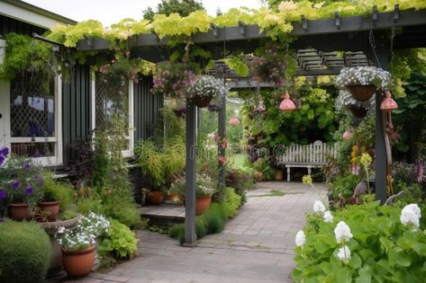 Pergola with hanging baskets of trailing plants and lanterns stock photo Hanging Plants Pergola, Trailing Plants, Hanging Baskets, Hanging Plants, Stock Illustration, Lanterns, Pergola, Stock Photos, Floral