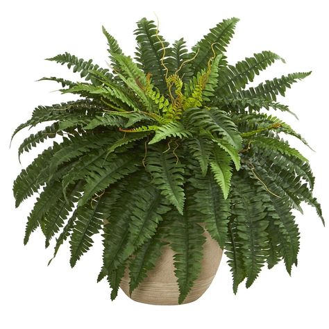 Boston Fern, Fern Plant, Silk Plants, Starter Plants, Garden Accents, Nearly Natural, Foliage Plants, Fake Plants, Faux Plants