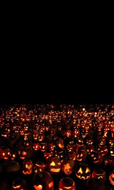 Jackolantern! Helloween Wallpaper, Halloween Wallpaper Backgrounds, Image Halloween, Halloween Tags, Halloween Wallpaper Iphone, Spooky Scary, Theme Halloween, Halloween Photos, Halloween 2018