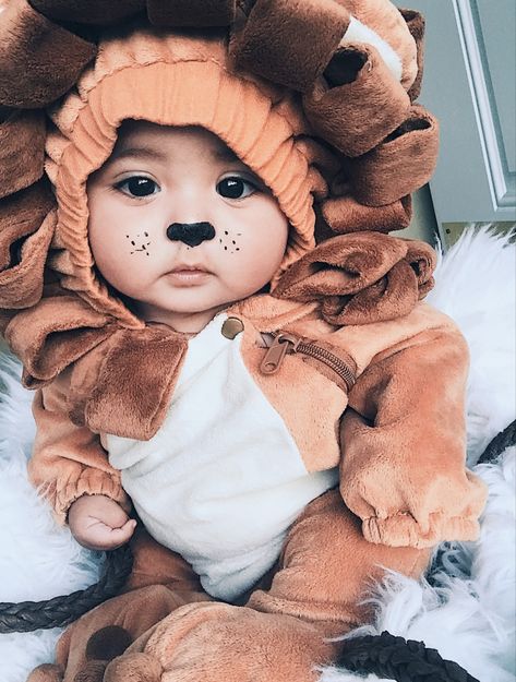 Baby Lion Costume Family, Cute Toddler Costumes, Baby Bear Costume, Lion Costume Diy, Stroller Costume, Lion Outfit, Baby Lion Costume, Photography Crochet, Lion Halloween Costume