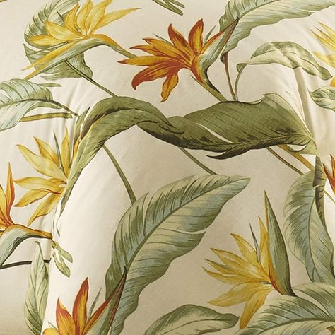 Amazon.com: Tommy Bahama Home Birds of Paradise Collection Comforter Set-100% Cotton, Reversible, All Season Bedding, King, Off- White : Everything Else Tommy Bahama Decor, Bedroom Covers, Tropical Bedding, British Colonial Decor, Tommy Bahama Bedding, Tommy Bahama Home, Colonial Decor, Tropical House, Soft Bedding