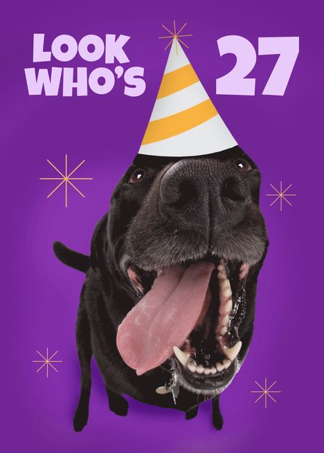 Happy 27th Birthday Funny Dog in Party Hat Humor card Happy 21st Birthday Funny, Woman Humor, Happy 58th Birthday, Happy 47th Birthday, Happy 59th Birthday, Happy 42nd Birthday, 72nd Birthday, Happy 34th Birthday, 59th Birthday