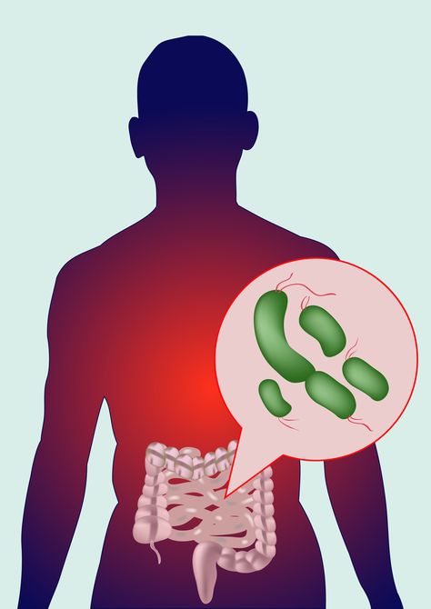 Here researchers suggest that patients with systemic sclerosis harbor a unique microbiome in their gut when compared to healthy individuals, which may contribute to patients’ immune dysfunction. Stomach Bacteria, Change Behavior, Fat Smash Diet, How To Get Faster, Gut Inflammation, Gut Health Recipes, Decrease Weight, Gut Bacteria, Gut Microbiome