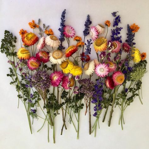 Dried Floral Resources Flowers In Hair For Wedding, Summer Wedding Menu, Hair For Wedding, Bud Vases Flowers, Flower Wreath Hair, Floral Wreath Wedding, Floral Wedding Decorations, Floral Wreaths, Flower Stems