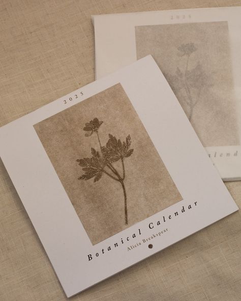 Pre-order your 2025 calendar for delivery w/c 7th October 🌿 Thank you to all those who’ve showed some love on my botanical calendar, I’ll be ordering a print run tomorrow. Really proud of this one, I’ve chosen 12 of my original botanical prints, one for each month. The plant within the print has been paired with the month you’ll see it growing - similar to last year! But, this time… I’ve added a short caption with each month. Details ~ • 21 x 21 cm sqaure calendar • hole for hanging on ... Botanical Monoprints, Botanical Calendar, Of Captions, Out In Nature, 2025 Calendar, Delicate Beauty, Different Plants, Real Plants, Flowers Leaves