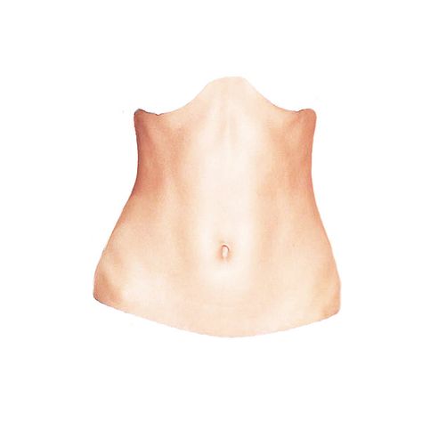 stomach #2 ❤ liked on Polyvore featuring doll parts, dolls, body parts, body, torso, fillers, detail and embellishment Body Parts Drawing, Brain Images, Body Template, الفن الرقمي, Tattoo Templates, Body Photography, 3d Modelle, Body Anatomy, Female Anatomy