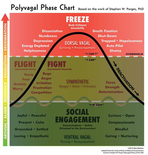 Polyvagal Theory Nervous System, Polyvagal Theory Exercises, Somatic Experience, Nerf Vague, Polyvagal Theory, Vagus Nerve, Dissociation, Hypnotherapy, Social Engagement