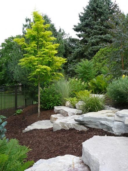 Easy Ideas for Landscaping with Rocks Garden With Rocks, Large Yard Landscaping, Ideas Jardin, Conifers Garden, Grasses Landscaping, Backyard Landscape, Easy Landscaping, Rock Garden Landscaping, Have Inspiration