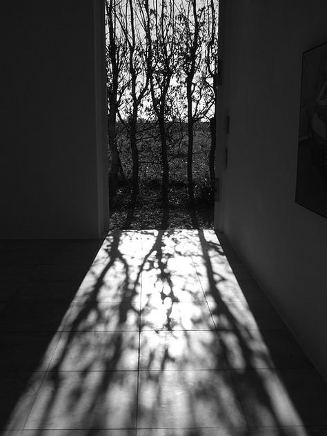 I see shadows by Rainer Larry Towell, Light And Shadow Photography, Casting Shadows, Shadow Photography, Dappled Light, Dramatic Lighting, Earth Art, Dark Photography, Personal Project