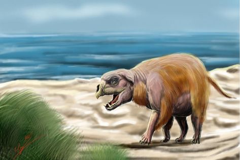 Montauk Monster, Monster Book, River Monsters, Light Aircraft, Fantasy Literature, Bull Shark, Monster Book Of Monsters, Wooly Mammoth, Legendary Creature