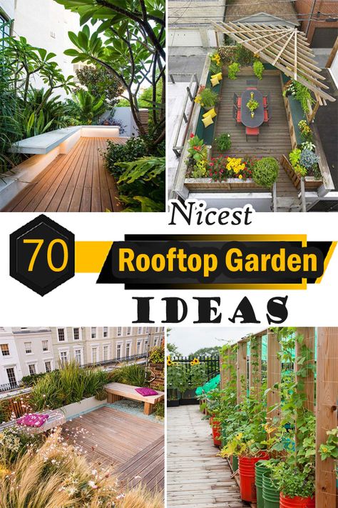 Ideas For Terrace Garden, Plant Terrace Ideas, Plants For Rooftop Roof Terraces, Roofdeck Garden Design, Balcony Garden Ideas Terraces, Nyc Terrace Ideas, Garden Ideas Terrace, Roof Terrace Garden Ideas, Rooftop Terrace Plants