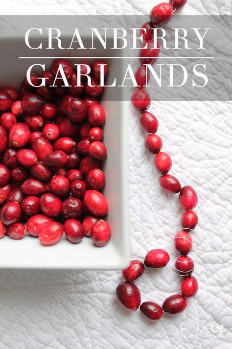 Cranberry and popcorn garlands are a fun simple project to do with the whole family a day or two before Christmas! Cranberry Garland, Christmas Feels, Popcorn Garland, Dollar Store Christmas Decor, Natural Christmas Decor, Dollar Store Christmas, Christmas Blessings, Natural Christmas, Christmas Garden