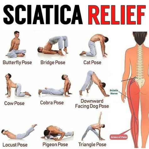 Sciatic Nerve Pain Relief, Yoga For Sciatica, Sciatica Stretches, Bolesti Chrbta, Sciatica Exercises, Sciatica Pain Relief, Sciatica Relief, Lower Back Pain Exercises, Yoga For Back Pain