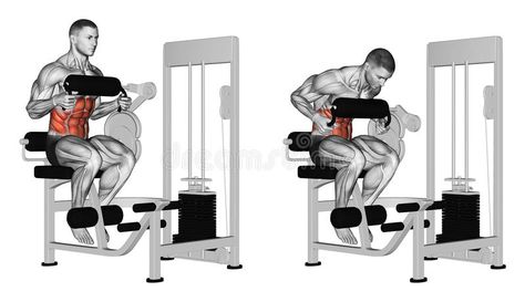 Exercising. Abdominal Crunch in AB machine. Abdominal Crunch in AB machine. Exercising for bodybuilding Target muscles are marked in red royalty free illustration Crunch Machine, Abdominal Infra, Ab Machine, Yoga Abs, Healthy Abs, Abdominal Crunch, Abs Exercise, Crunches Workout, Ab Workout Men