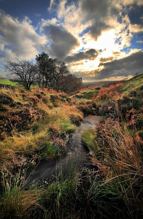 Danby Moor, North York by Cass Crisp Autumn Morning, Dramatic Scene, Yorkshire Moors, North York Moors, Autumn Morning, British Countryside, A Farmer, Break In, English Countryside