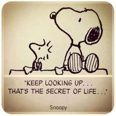 Snoopy The Dog, Peanuts Quotes, The Secret Of Life, Secret Of Life, Science Of Happiness, Keep Looking Up, Peanuts Cartoon, Snoopy Quotes, Snoop Dog