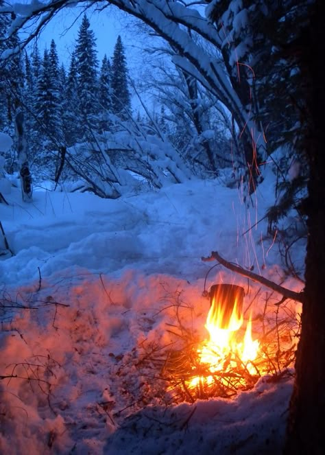 Winter Fire, Snowy Forest, I Love Winter, Winter Love, Winter Camping, Winter Magic, Winter Scenery, Winter Beauty, Snow Scenes