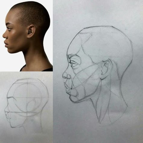 Reilly Method, Portrait Tutorial, 얼굴 드로잉, Portrait Study, 얼굴 그리기, Human Anatomy Drawing, Human Anatomy Art, Portraiture Drawing, Anatomy Sketches