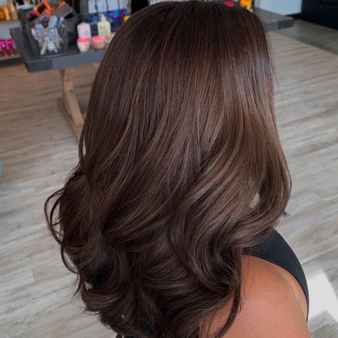 One Colour Hair Brown, Single Process Hair Color Dark Brown, All Over Brown Hair Color Fall, Full Color Hair Ideas Brown, One Tone Hair Color Brown, All Brown Hair Color, Single Color Hair Brown, Brown Hair Colors No Highlights, Single Color Brown Hair