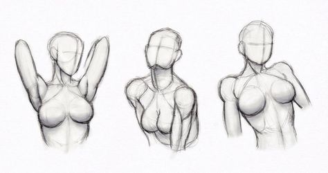 Female Upper Body Drawing Reference, Female Drawing, Human Figure Drawing, Anatomy Sketches, Body Reference Drawing, Concept Art Drawing, Anatomy Drawing, Figure Drawing Reference, Body Drawing