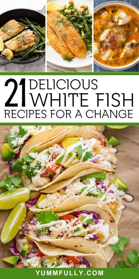 21 Delicious White Fish Recipes For A Change - Yummy and fully Whiting Fish Recipes, White Fish Recipes Healthy, Crispy Fish Tacos, Seafood Dish Recipes, Pan Fried Fish, White Fish Recipes, Crispy Fish, Fish Dinner Recipes, Seafood Entrees