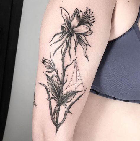 Shannon Faber on Instagram: “Columbine for a Colorado girl 🖤 #coloradotattooartist #denvertattooartist #botanicaltattoo #blackwork #columbinetattoo #coloradogirl” Colorado Blue Columbine Tattoo, Colorado Columbine Tattoo, Columbine Tattoo, Columbine Flower Tattoo, Colorado Tattoo, Colorado Girl, Columbine Flower, Botanical Tattoo, Horror Tattoo