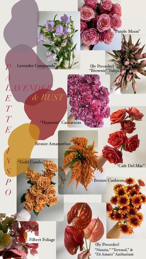 Two favorite colors for fall, combined in chic new tones. Think terra cotta, mustard, rust, mauve, and lavender. Includes anthurium, roses, mums, and more. Rust Mauve Wedding, Lavender And Terra Cotta Wedding, Colorful Flower Arrangements Diy, Wedding Party Sunset Colors, Orange And Mauve Wedding, Mustard And Mauve Wedding, Mauve And Rust Color Palette, Mauve And Rust Wedding, Fun Fall Wedding Colors