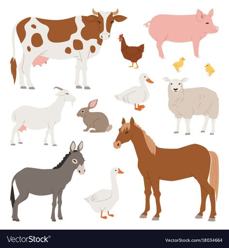 Different home farm animals and birds like Vector Image Agriculture Animals, Vector Animals, Farm Vector, Dinosaur Silhouette, Kids Cartoon Characters, Home Farm, Animal Illustration Art, Animals Farm, Farm Animal Birthday