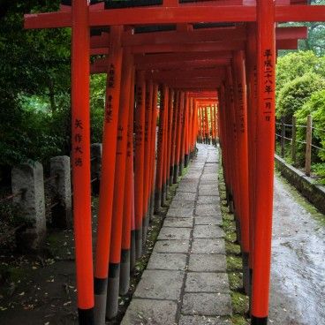 Matsuri Festival, Ueno Park, Fushimi Inari Taisha, Azalea Flower, Wooden Architecture, Shinto Shrine, Japanese History, Air Raid, Koi Carp